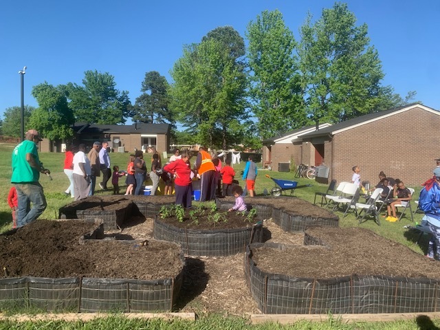 South Elementary students planting tomatoes plants