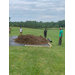 A pile of Mulch.