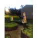 Weeding and watering the garden at dusk.