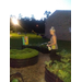  Weeding and watering the garden at dusk. 