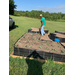 Seedlings planted spaced out in one planting area.