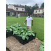 A resident taking care of the garden.